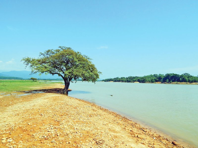 লোভাছড়া-(7)