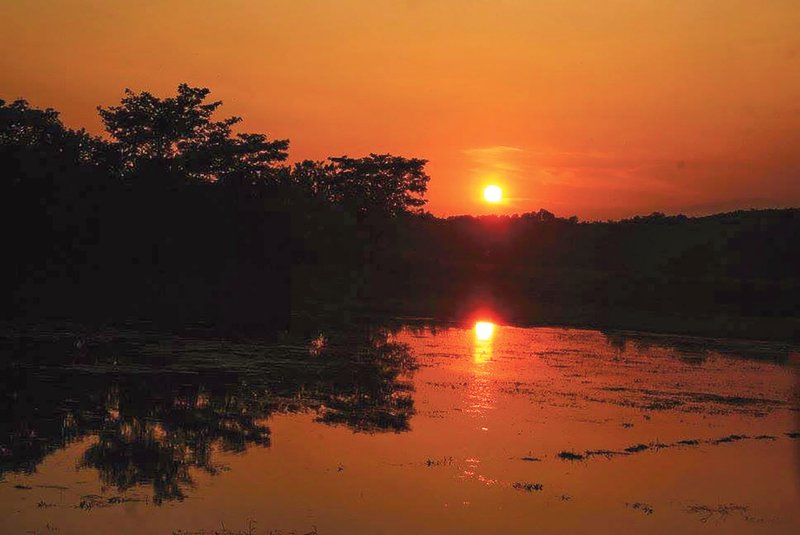 লোভাছড়া-(9)