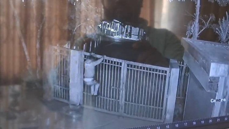 লক্ষ্মীপুর জেলা নির্বাচন অফিসে গতকাল দিবাগত রাতে পেট্রোল ঢেলে অগ্নিসংযোগ করেছে দুর্বৃত্তরা। ছবি: আজকের পত্রিকা