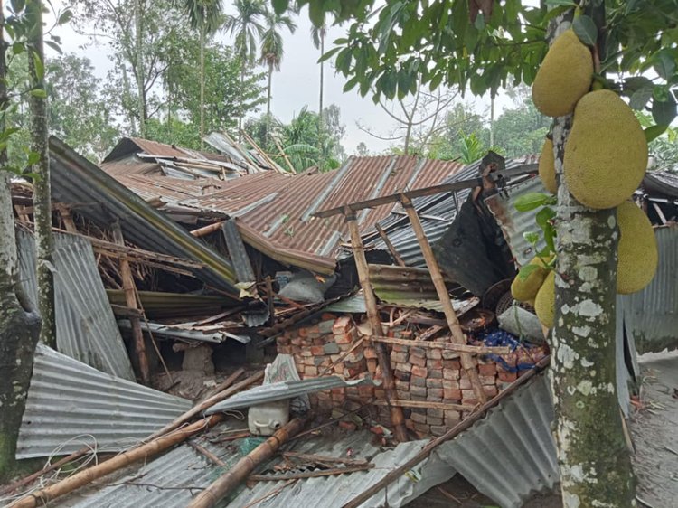 লালমনিরহাটের দুই উপজেলায় ঝড় ও শিলাবৃষ্টিতে ব্যাপক ক্ষয়ক্ষতি হয়। আজ বৃহস্পতিবার আদিতমারী উপজেলার মহিষখোঁচা ইউনিয়নের আয়নারপুল বটতলা এলাকা থেকে তোলা। ছবি: আজকের পত্রিকা