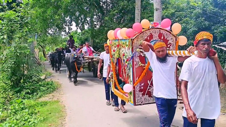 বিয়ের পর কনেও শ্বশুরবাড়িতে গেছেন পালকিতে চড়ে। ছবি: আজকের পত্রিকা