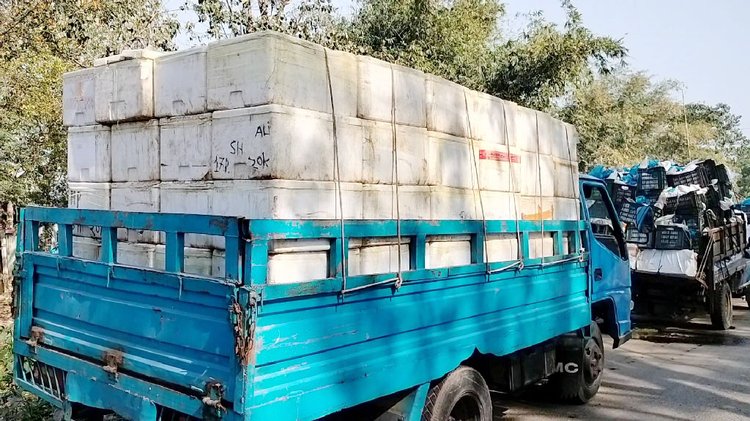 আখাউড়া স্থলবন্দর দিয়ে ভারতে মাছ রপ্তানি বন্ধ করে দিয়েছেন বাংলাদেশী ব্যবসায়ীরা। ফলে বুধবার বন্দরে মাছবোঝাই ট্রাকগুলো আটকে আছে। ছবি: আজকের পত্রিকা