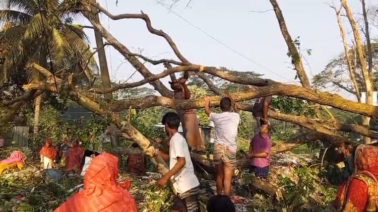 মহাসড়কে গাছ ফেলে সড়ক অবরোধ করা হয়। ছবি: আজকের পত্রিকা
