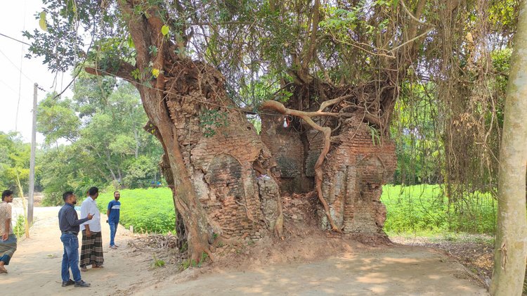 মুন্সিগঞ্জে ঝোপঝাড়ে ঘেরা ২০০ বছরের পুরোনো মসজিদ। ছবি: আজকের পত্রিকা