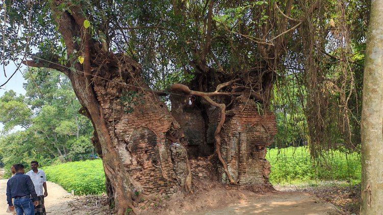 মুন্সিগঞ্জে ঝোপঝাড়ে ঘেরা ২০০ বছরের পুরোনো মসজিদ। ছবি: আজকের পত্রিকা