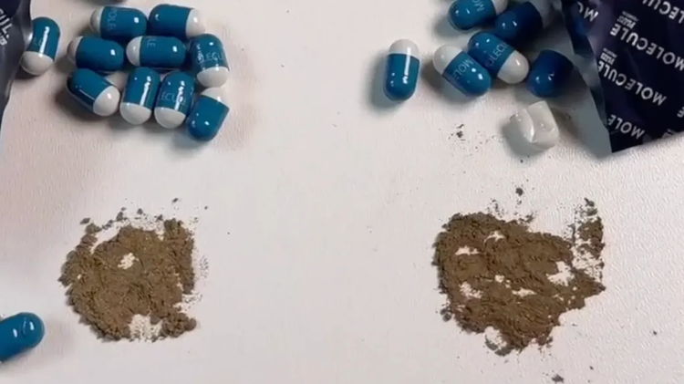 মলিকিউল ওষুধটি ‘প্রাকৃতিক উপাদানে’ তৈরি বলা হলেও তাতে স্বাস্থ্যের জন্য ক্ষতিকর বিভিন্ন উপাদান আছে। ছবি: সংগৃহীত