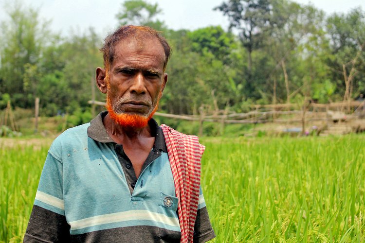 ৫৩ বছর বয়সী মনু মিয়া মনে করেন, কাটাখালের দূষিত পানি তাঁদের ফসলের ওপর তেমন কোনো খারাপ প্রভাব ফেলে না। ছবি: মঙ্গাবে