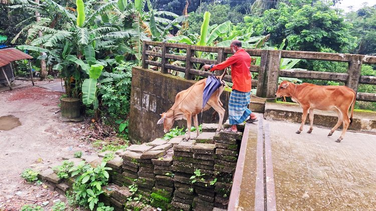 পটুয়াখালীর দশমিনা ও বাউফল উপজেলার বাঁশবাড়িয়া-বগী খালের ওপর প্রায় ৩ কোটি টাকা ব্যয়ে নির্মাণাধীন একটি সেতুর নকশায় ভুল ধরা পড়ায় ২০২০ সাল থেকে কাজ বন্ধ। সংযোগ সড়ক না থাকায় দুই উপজেলার ১১ গ্রামের মানুষ, বিশেষ করে শিক্ষার্থী ও সাধারণ পথচারীরা চরম ভোগান্তিতে পড়েছেন।