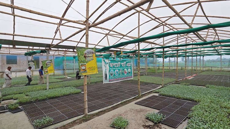 ডিমলা উপজেলার কুটিপাড়া গ্রামে নিয়ন্ত্রিত কৃষিঘর নির্মাণ করেছেন সোহেল। ছবি: আজকের পত্রিকা