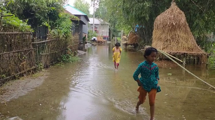 নীলফামারীর ডিমলায় তিস্তা নদীর পানি কমতে শুরু করেছে। ছবি: আজকের পত্রিকা