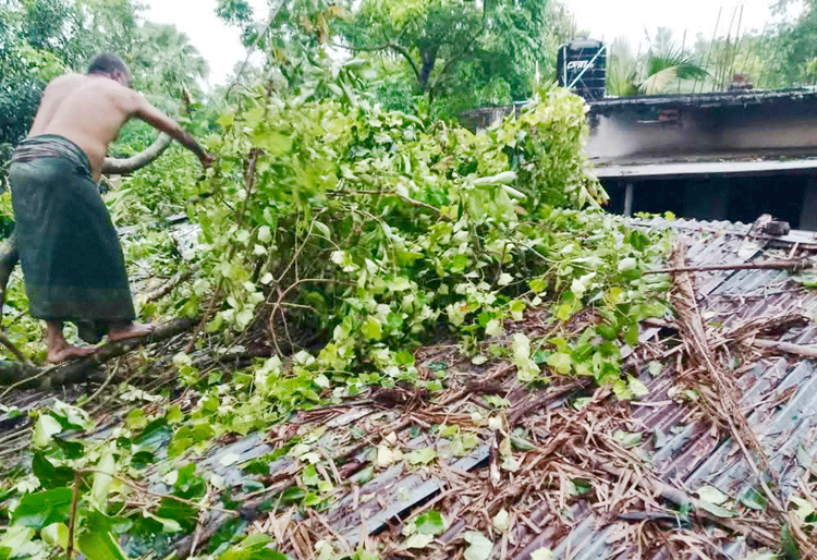 প্রায় আধা ঘণ্টার এই ঝড়-বৃষ্টির তাণ্ডবে লন্ডভন্ড হয়ে গেছে শতাধিক ঘরবাড়ি। ছবি: আজকের পত্রিকা