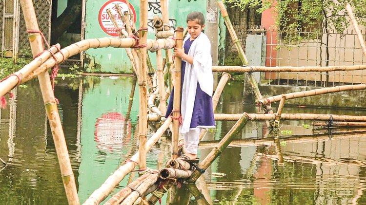 ঝুঁকি নিয়ে বাঁশের সাঁকো পার হচ্ছে এক শিক্ষার্থী। সম্প্রতি বেগমগঞ্জে।