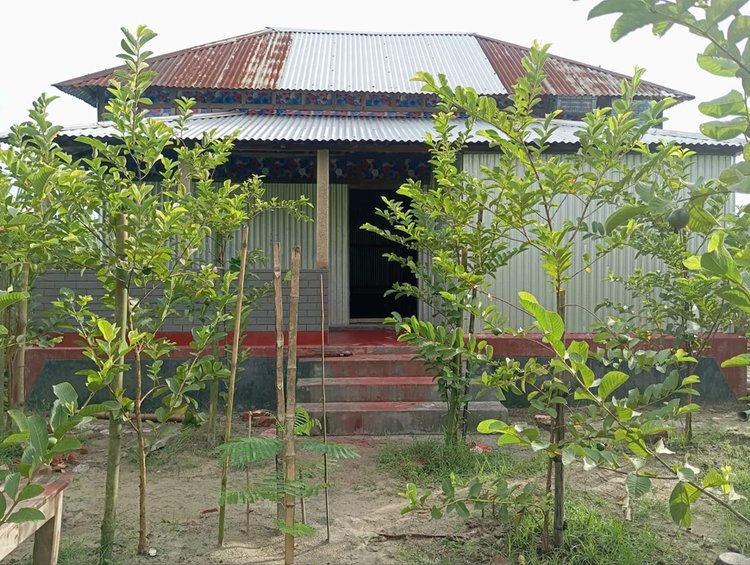 রায়পুরায় আড়িয়াল খাঁ নদী খননের সাত বছর পর কৃষকের ব্যক্তিমালিকানাধীন জমিতে রাখা মাটি নিলামে বিক্রি করেছে উপজেলা প্রশাসন। জমিতে কলা ও পেয়ারাবাগান বা ঘরবাড়ি তৈরি করা কৃষকেরা এখন বিপাকে। ছবি: আজকের পত্রিকা