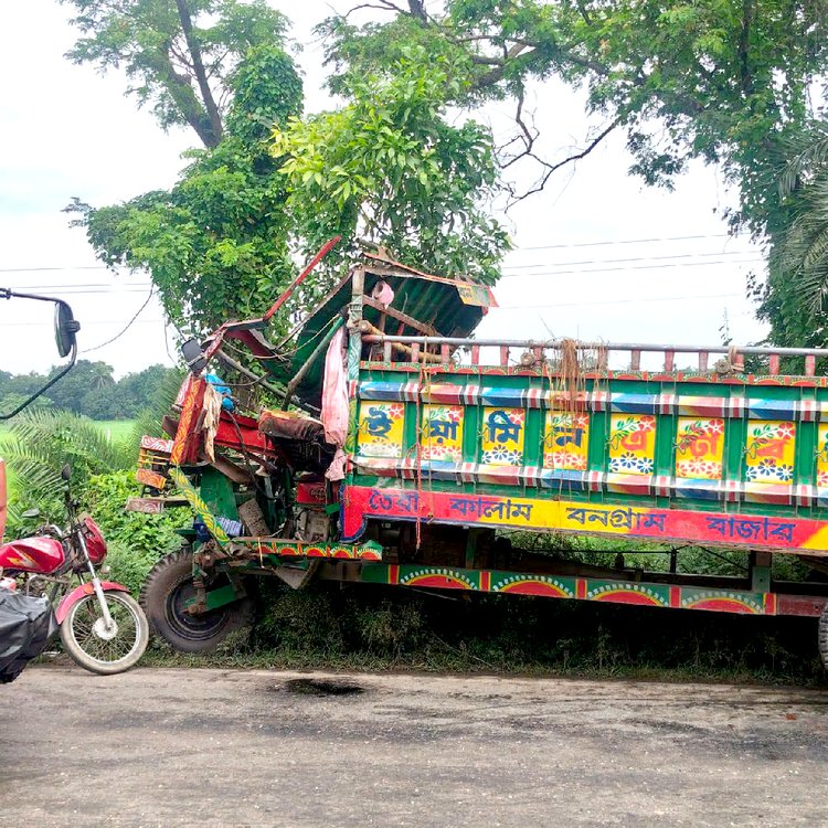 দুর্ঘটনাকবলিত গরুবাহী নছিমন। ছবি: আজকের পত্রিকা