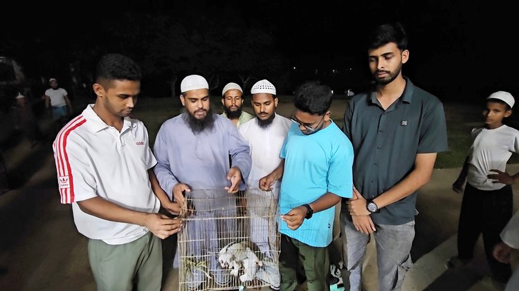 লজ্জাবতী বানর উদ্ধার করে বনে অবমুক্ত করেছেন পরিবেশ ও বন্যপ্রাণী রক্ষায় কাজ করা স্বেচ্ছাসেবী সংগঠনের সদস্যরা। ছবি: আজকের পত্রিকা