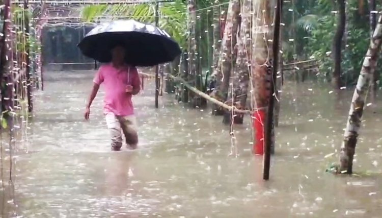 টানা বর্ষণে জেলার হাতিয়া ছাড়া বাকি আটটি উপজেলা ও পৌর এলাকায় দেখা দিয়েছে জলাবদ্ধতা। ছবি: আজকের পত্রিকা