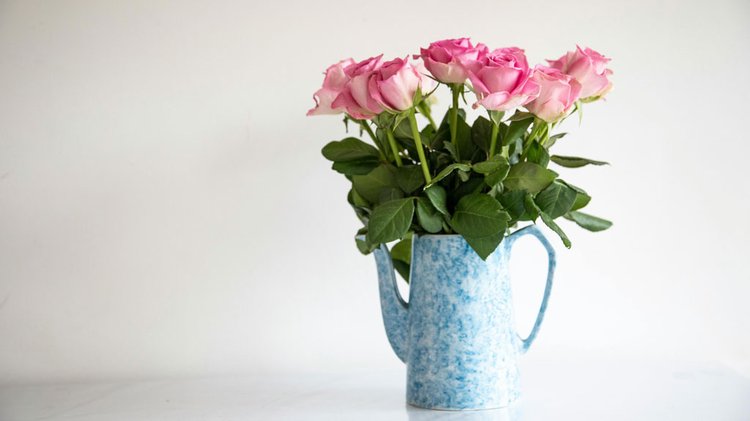 ছবি: পেক্সেলস