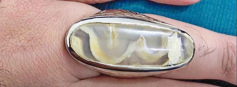 ফিচার-৪