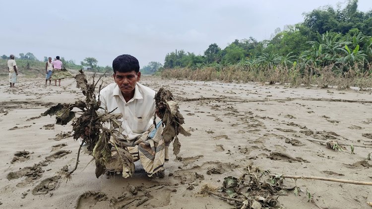 পাহাড়ি ঢলে নষ্ট হলো কৃষকের একশ হেক্টর জমির ফসল। ছবি: আজকের পত্রিকা