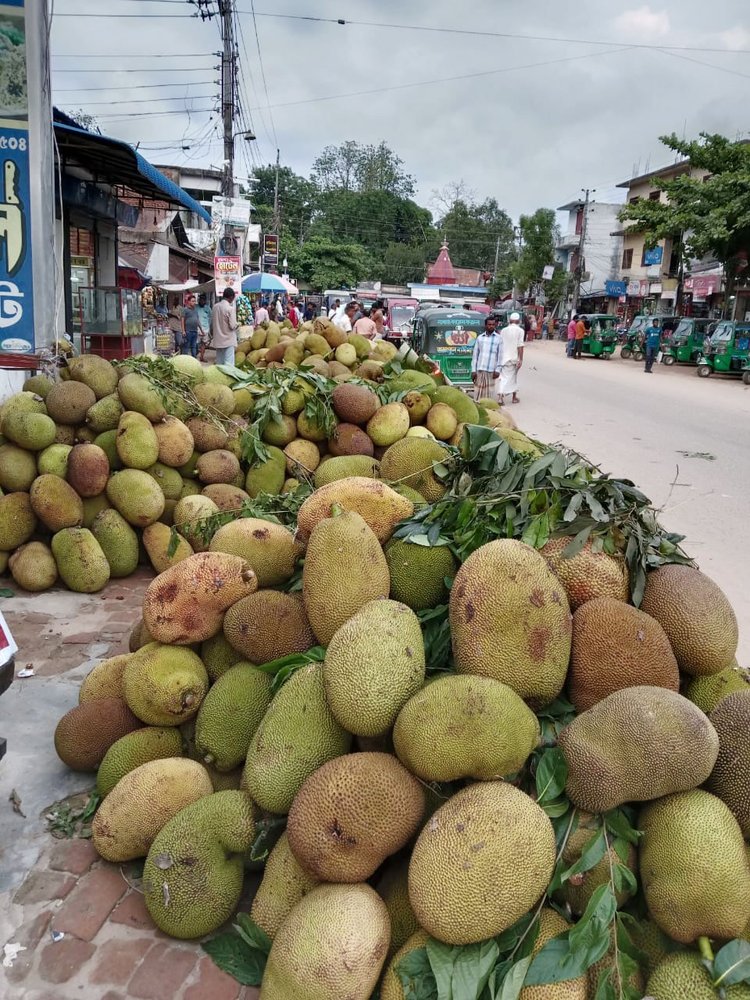 পাহাড়ি ফলে রমরমা বাজার। বাজারের প্রতিটি কোণেই রসালো ফলের স্তূপ। রামগড় বাজার থেকে তোলা। ছবি: আজকের পত্রিকা