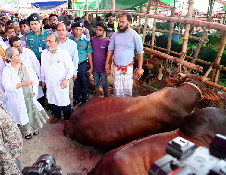 ঢাকা পলিটেকনিক ইনস্টিটিউট মাঠের পশুরহাট পরিদর্শন শেষে প্রাণিসম্পদ উপদেষ্টা। ছবি: আজকের পত্রিকা