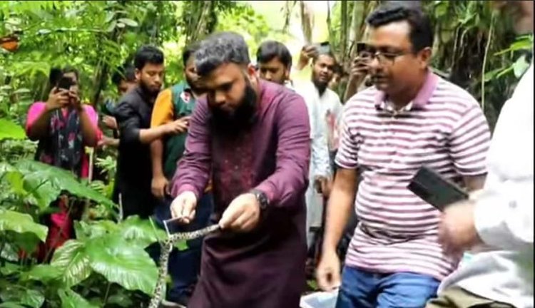 ফটিকছড়ির হাজারীখিল সংরক্ষিত বন্যপ্রাণী অভয়ারণ্যে গতকাল অজগরের ৩৩টি ছানা ছেড়ে দেওয়া হয়। ছবি: আজকের পত্রিকা