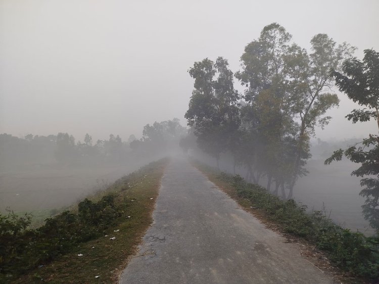 পঞ্চগড়ে জেঁকে বসেছে শীত। চারদিকে কুয়াশায় ঢাকা। ছবি: আজকের পত্রিকা