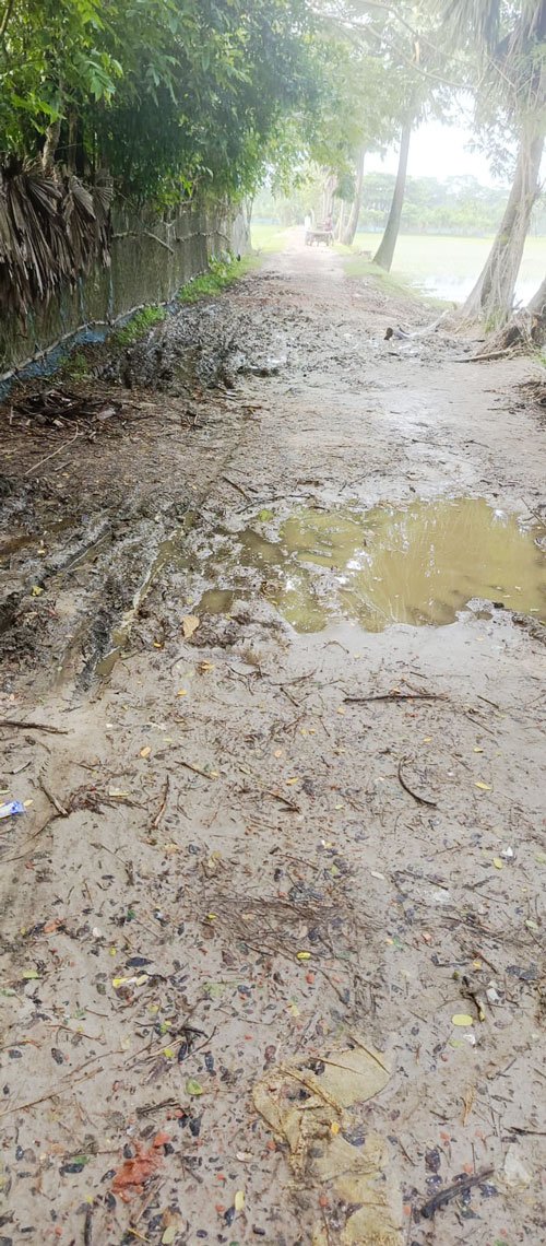 সম্প্রতি টানা বৃষ্টিতে সড়কটিতে অসংখ্য গর্ত ও খানাখন্দ সৃষ্টি হয়েছে। ছবি: আজকের পত্রিকা