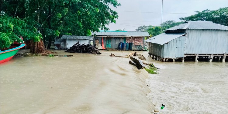 রাঙ্গাবালী উপজেলার চালিতাবুনিয়া ইউনিয়ন জোয়ারের পানিতে প্লাবিত। ছবি: আজকের পত্রিকা
