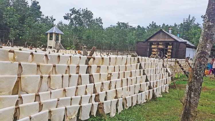 ছবি: দে-ছুট ভ্রমণ সংঘ