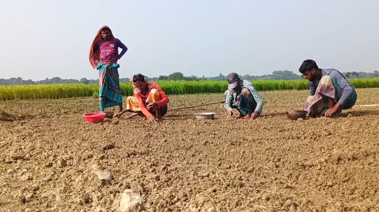 রাজবাড়ী-২