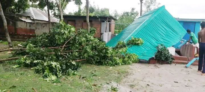 ঝড়ে ঘরবাড়ির ওপরে পড়েছে গাছপালা। ছবি: আজকের পত্রিকা