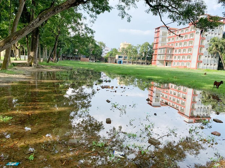দেবিদ্বার সুজাত আলী সরকারি কলেজের মাঠ অব্যবস্থাপনা, অবহেলা ও রক্ষণাবেক্ষণের অভাবে বেহাল। ছবি: আজকের পত্রিকা