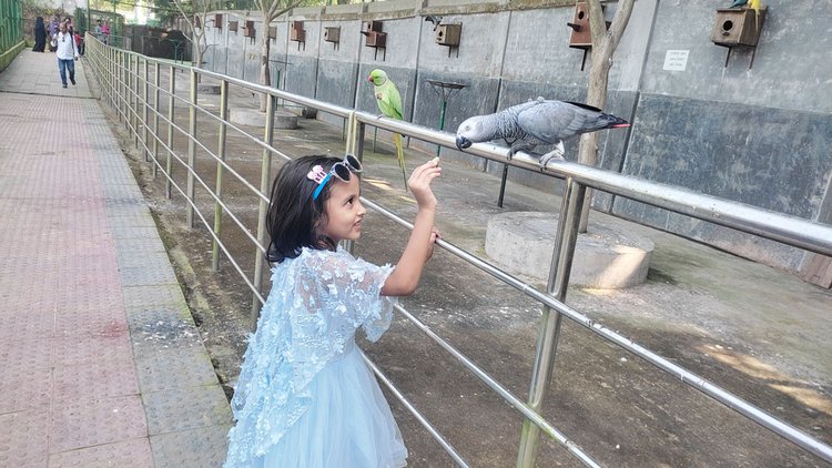 খুলে দেওয়া হলো সাফারি পার্ক। ছবি: আজকের পত্রিকা