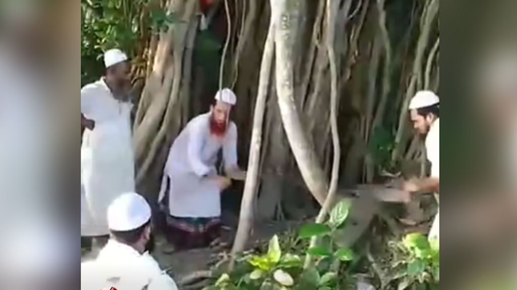 শিরকের অভিযোগে কাটা হলো শতবর্ষী বটগাছ