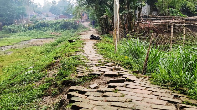 সরকারি রাস্তার ইট তুলে নিজ বাড়িতে বাথরুম নির্মাণ করেছেন ইউপি সদস্য আয়েশা বেগম। ছবি: আজকের পত্রিকা