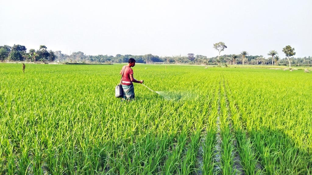 কৃষি ও পল্লিঋণে নতুন লক্ষ্য সাড়ে ৩৯ হাজার কোটি