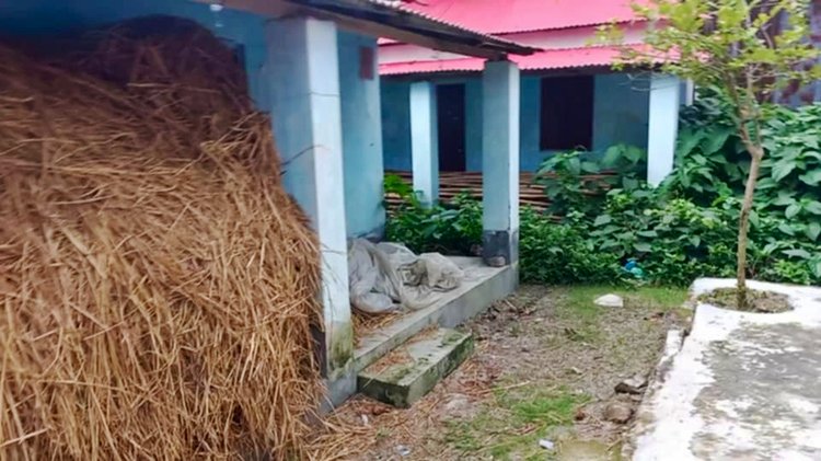 আশ্রয়ণ প্রকল্পে বসবাস না থাকায় অযত্ন অবহেলায় চারপাশ জঙ্গলে ছেয়ে গেছে। ছবি: আজকের পত্রিকা