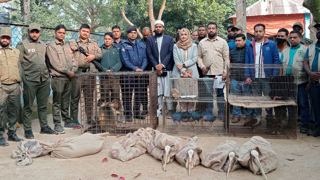 দিনাজপুরের স্বপ্নপুরীতে বন বিভাগের অভিযান, ৭৪ প্রাণী জব্দ