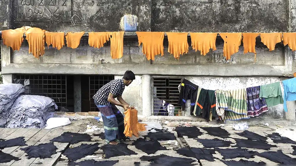 গবাদিপশুজাত পণ্য আমদানি বন্ধ করল চীন, প্রভাব পড়বে বাংলাদেশেও