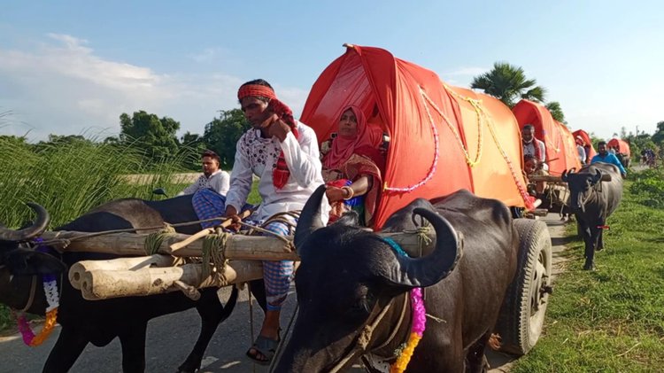 গরুর গাড়ি ও পালকি নিয়ে ঘোড়ায় চড়ে যুবকের বিয়ে। ছবি: আজকের পত্রিকা
