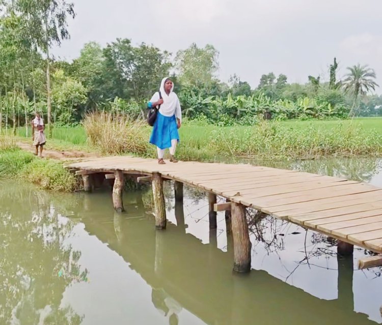 টাঙ্গাইলের সখীপুরে স্থানীয় বাসিন্দাদের তৈরি কাঠের সাঁকো দিয়ে ঝুঁকিপূর্ণ পারাপার। ছবি: আজকের পত্রিকা