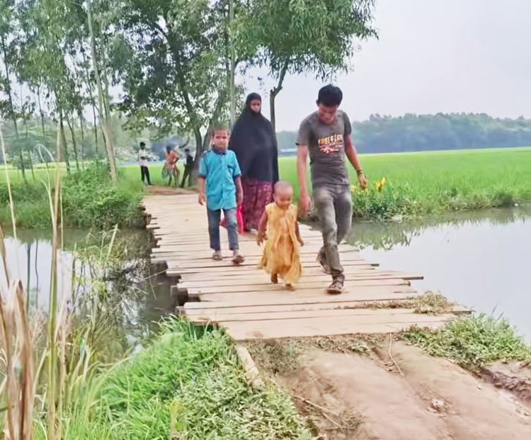 টাঙ্গাইলের সখীপুরে স্থানীয় বাসিন্দাদের তৈরি কাঠের সাঁকো দিয়ে ঝুঁকিপূর্ণ পারাপার। ছবি: আজকের পত্রিকা