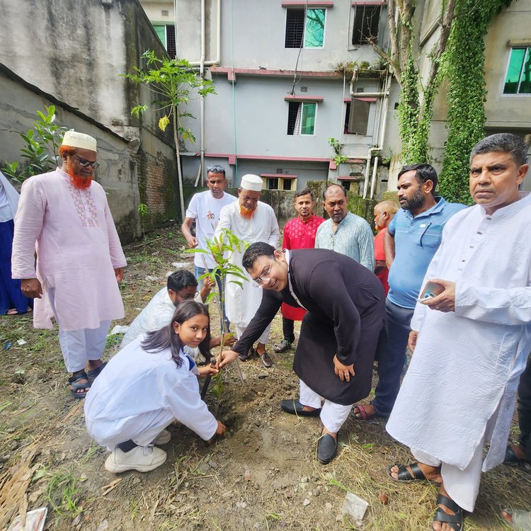 টাঙ্গাইলে বিএনপি নেতা প্লেটোর বৃক্ষরোপণ। ছবি: সংগৃহীত