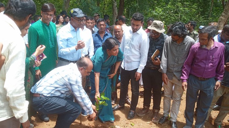 টাঙ্গাইলের মধুপুর বনাঞ্চলের টেলকি এলাকায় আজ রোববার পরিবেশ, বন ও জলবায়ু পরিবর্তন উপদেষ্টা সৈয়দা রিজওয়ানা হাসান চারা রোপণের মাধ্যমে শালবন পুনঃপ্রতিষ্ঠার কার্যক্রম উদ্বোধন করেন। ছবি: আজকের পত্রিকা
