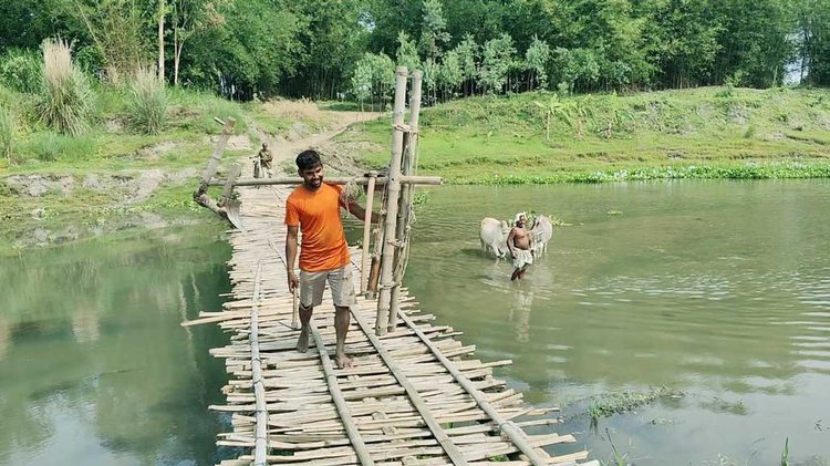 প্রতিদিন বাঁশের কাঁপা সাঁকো পেরিয়ে স্কুলে যাচ্ছে শিশু, হাসপাতালে যাচ্ছে রোগী, বাজারে যাচ্ছে কৃষিপণ্য। ছবি: আজকের পত্রিকা