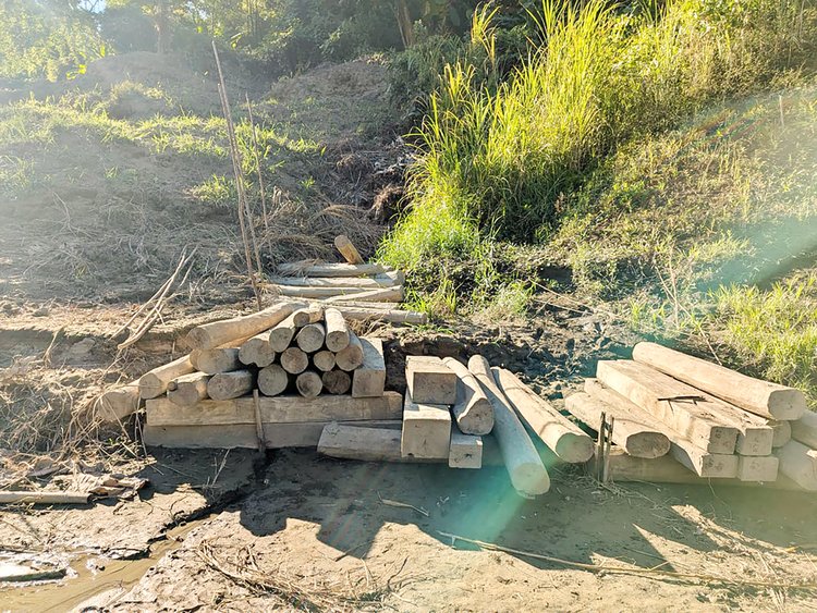 সাঙ্গু নদের উজানে পান্তলাপাড়ার ঘাট পেরিয়ে সেপ্রু মুখ এলাকায় জড়ো করা গাছের স্তূপ। ছবি: আজকের পত্রিকা