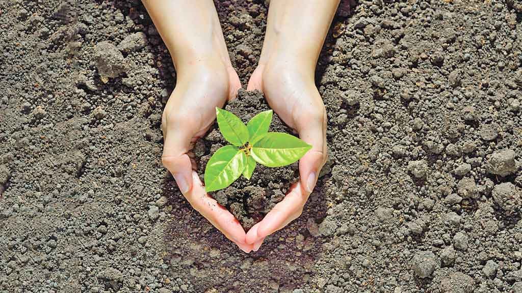 বৃক্ষরোপণ ইবাদত ও মানবতার খেদমত