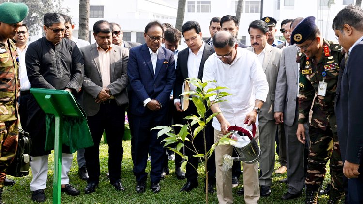 প্রধানমন্ত্রী তারেক রহমান তাঁর তেজগাঁও কার্যালয় চত্বরে আজ শনিবার সকালে একটি স্বর্ণচাঁপা ফুলের চারা রোপণ করেন। ছবি: পিএমও অফিস