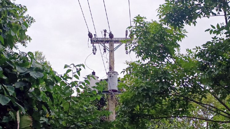 ট্রান্সফরমার চুরি হয়ে যাওয়ায় বন্ধ হয়ে গেছে সেচসুবিধা। ছবি: আজকের পত্রিকা
